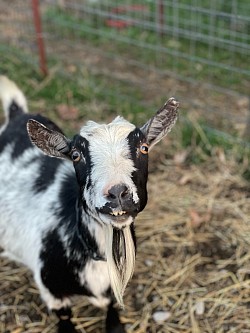 Sierra lives to smile when she’s happy!