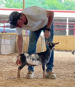 Foxy best in show jr
